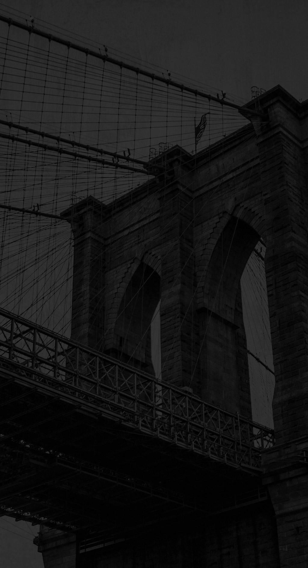 Brooklyn Sports & Entertainment Hero